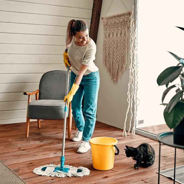 House Maids Services